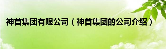 神首集团有限公司（神首集团的公司介绍）