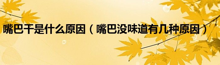 嘴巴干是什么原因（嘴巴没味道有几种原因）
