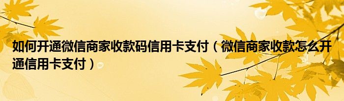 如何开通微信商家收款码信用卡支付（微信商家收款怎么开通信用卡支付）