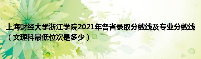 上海财经大学浙江学院2021年各省录取分数线及专业分数线（文理科最低位次是多少）