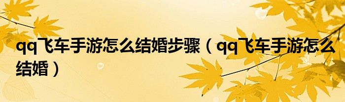 qq飞车手游怎么结婚步骤（qq飞车手游怎么结婚）