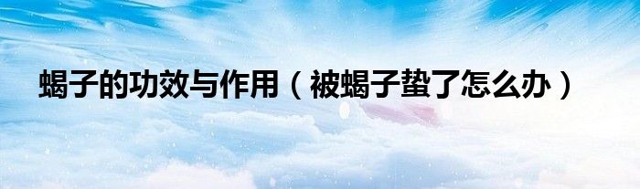 蝎子的功效与作用（被蝎子蛰了怎么办）