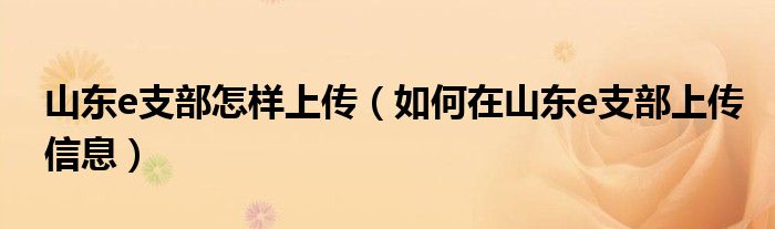 山东e支部怎样上传（如何在山东e支部上传信息）