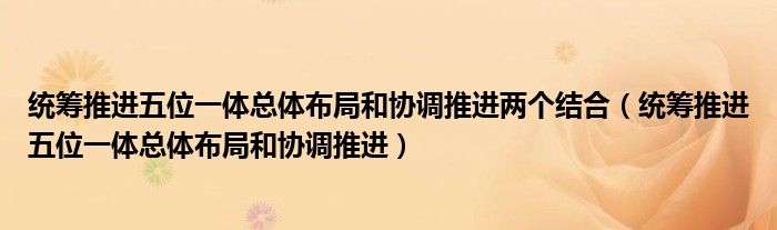 统筹推进五位一体总体布局和协调推进两个结合（统筹推进五位一体总体布局和协调推进）