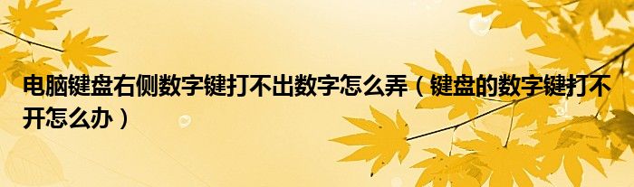 电脑键盘右侧数字键打不出数字怎么弄（键盘的数字键打不开怎么办）