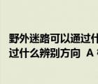 野外迷路可以通过什么来辨别方向（野外迷路后 我们可以通过什么辨别方向  A 根据树木的年轮）