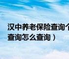 汉中养老保险查询个人交费账户（汉中市养老保险个人账户查询怎么查询）