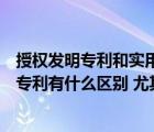 授权发明专利和实用新型专利的区别（发明专利和实用新型专利有什么区别 尤其申请的时候）