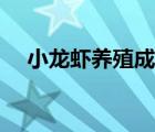 小龙虾养殖成本计算（小龙虾养殖成本）