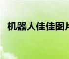 机器人佳佳图片（美女机器人佳佳多少钱）