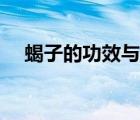 蝎子的功效与作用（被蝎子蛰了怎么办）