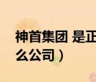 神首集团 是正规公司吗创业（神首集团是什么公司）