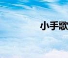 小手歌舞蹈视频（小手歌）