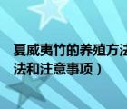 夏威夷竹的养殖方法和注意事项有哪些（夏威夷竹的养殖方法和注意事项）
