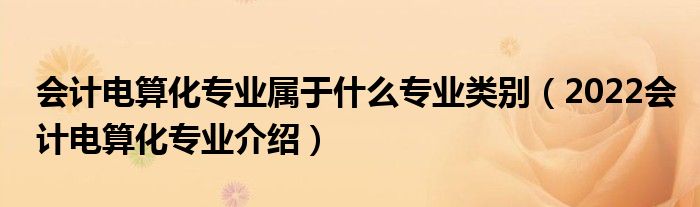 会计电算化专业属于什么专业类别（2022会计电算化专业介绍）
