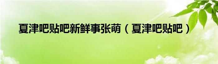 夏津吧贴吧新鲜事张萌（夏津吧贴吧）
