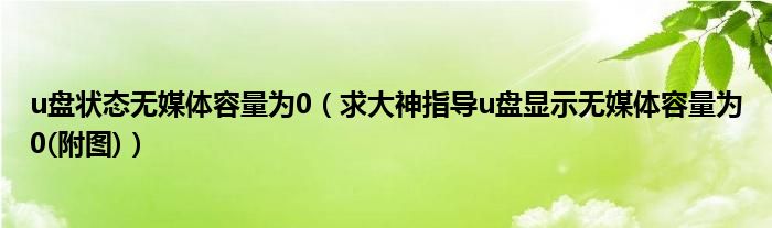 u盘状态无媒体容量为0（求大神指导u盘显示无媒体容量为0(附图)）