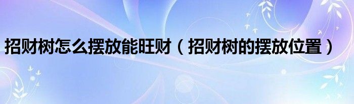 招财树怎么摆放能旺财（招财树的摆放位置）