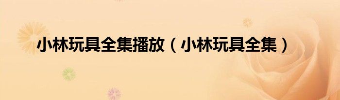 小林玩具全集播放（小林玩具全集）