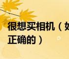 很想买相机（如果想购买相机以下标题哪个是正确的）