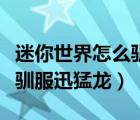 迷你世界怎么驯服迅猛龙视频（迷你世界怎么驯服迅猛龙）