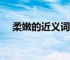 柔嫩的近义词是什么词（柔美的近义词）