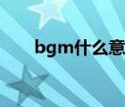 bgm什么意思怎么读（bgm怎么读）
