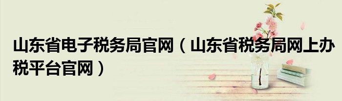 山东省电子税务局官网（山东省税务局网上办税平台官网）