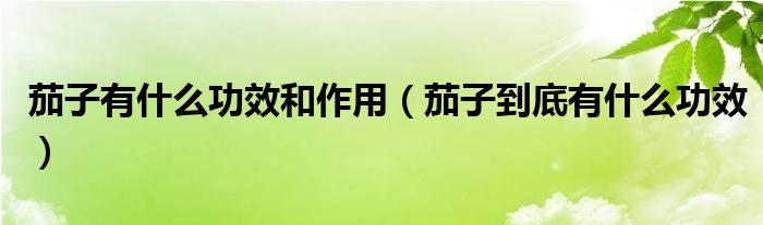 茄子有什么功效和作用（茄子到底有什么功效）