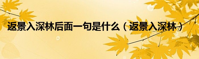 返景入深林后面一句是什么（返景入深林）