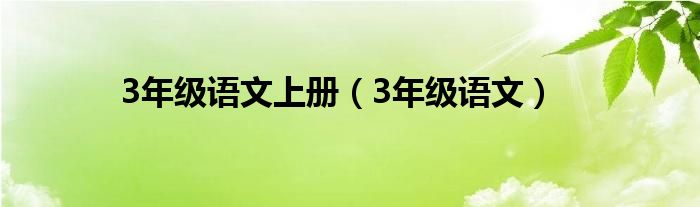 3年级语文上册（3年级语文）