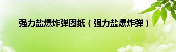 强力盐爆炸弹图纸（强力盐爆炸弹）