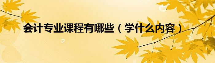 会计专业课程有哪些（学什么内容）