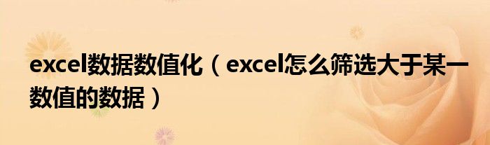excel数据数值化（excel怎么筛选大于某一数值的数据）