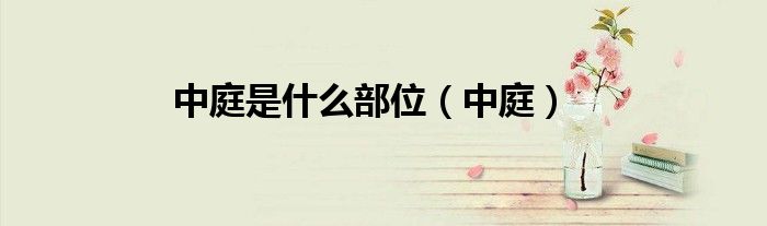 中庭是什么部位（中庭）