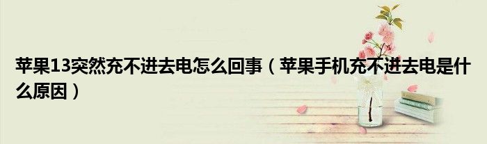苹果13突然充不进去电怎么回事（苹果手机充不进去电是什么原因）