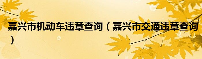 嘉兴市机动车违章查询（嘉兴市交通违章查询）