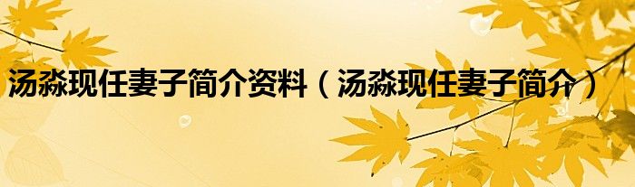 汤淼现任妻子简介资料（汤淼现任妻子简介）