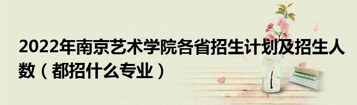 2022年南京艺术学院各省招生计划及招生人数（都招什么专业）