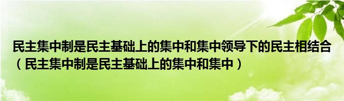 民主集中制是民主基础上的集中和集中领导下的民主相结合（民主集中制是民主基础上的集中和集中）