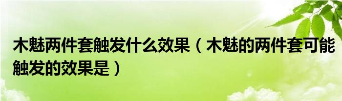 木魅两件套触发什么效果（木魅的两件套可能触发的效果是）