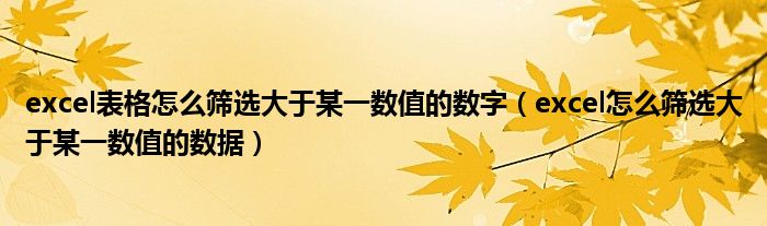 excel表格怎么筛选大于某一数值的数字（excel怎么筛选大于某一数值的数据）