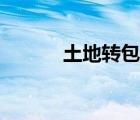 土地转包合同（土地承包协议）
