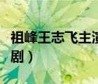 祖峰王志飞主演的电视剧（王志飞主演的电视剧）