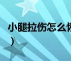 小腿拉伤怎么恢复好得快（小腿拉伤怎么恢复）