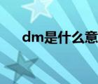 dm是什么意思汽车（dm是什么意思）