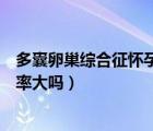 多囊卵巢综合征怀孕几率大吗知乎（多囊卵巢综合征怀孕几率大吗）