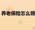 养老保险怎么领取（农村养老保险领取计算）
