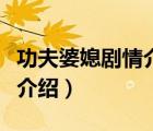 功夫婆媳剧情介绍结局是什么（功夫婆媳剧情介绍）