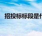 招投标标段是什么意思（标段是什么意思）